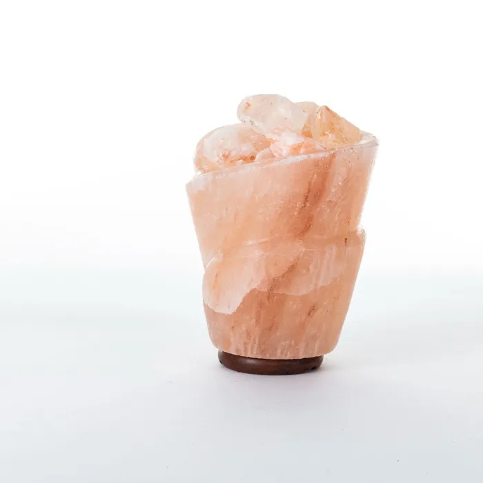 Salt Lamp Earrings Rose Salt Rock Lamp Bowl