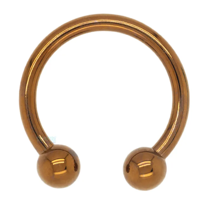 Industrial Strength IS Titanium Circular Barbell CO Copper Earrings