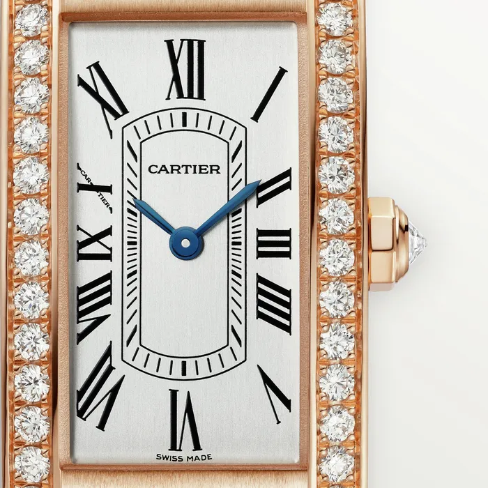 Cartier Tank Amricaine watch CRWJTA0044 Watches