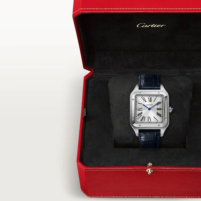 Cartier Watches SantosDumont watch WSSA0032