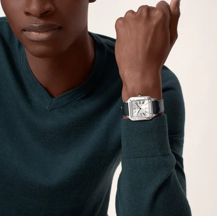 Cartier Watches SantosDumont watch WSSA0032