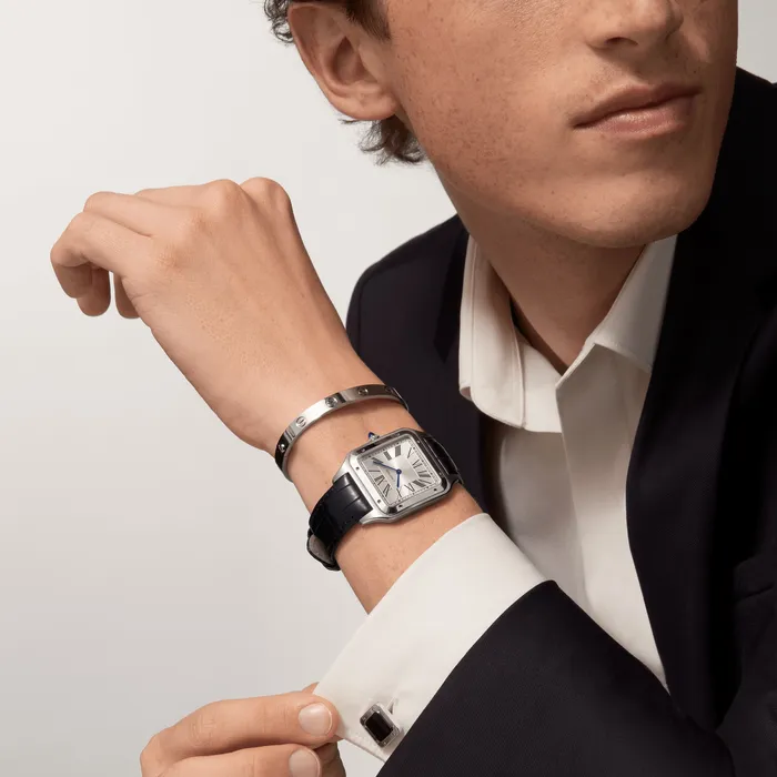 Cartier Watches SantosDumont watch WSSA0032