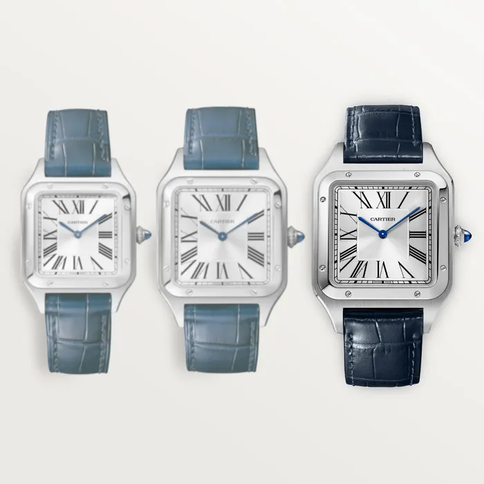 Cartier Watches SantosDumont watch WSSA0032