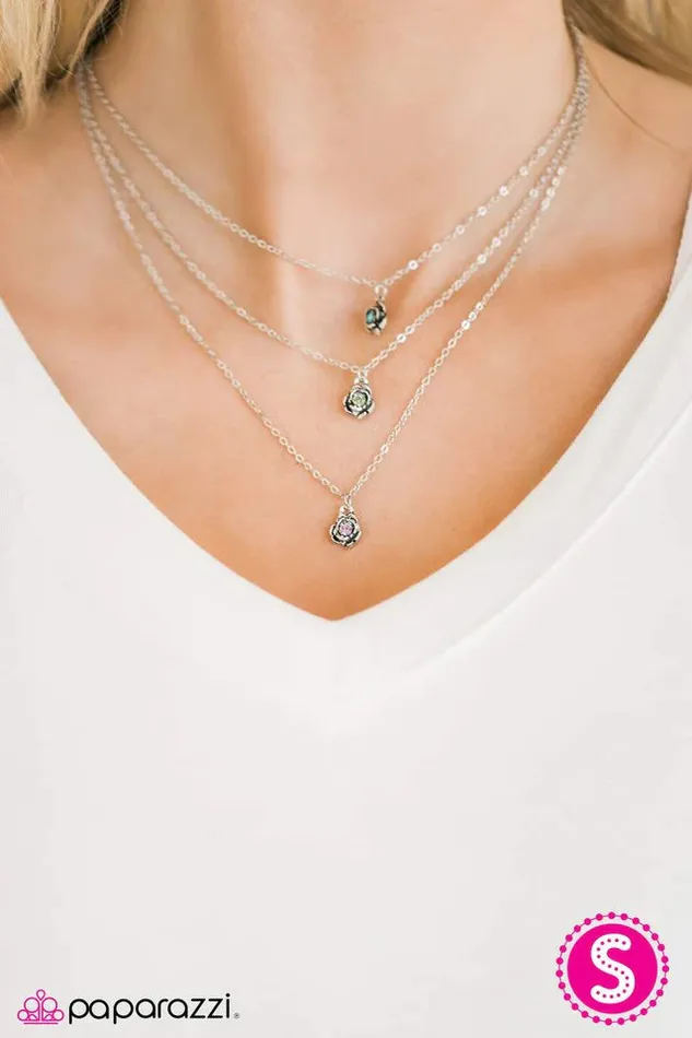 Necklaces Paparazzi Jewelry Paparazzi Necklace Bloom Bash Multi