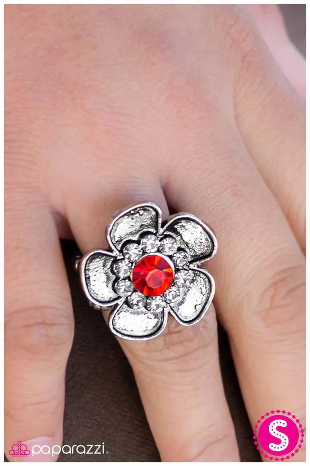 Rings Paparazzi Jewelry Paparazzi Ring At the Risk of Looking Fabulous Red