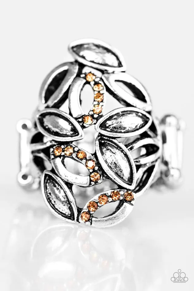 Rings Paparazzi Ring Autumn Awe Brown Paparazzi Jewelry