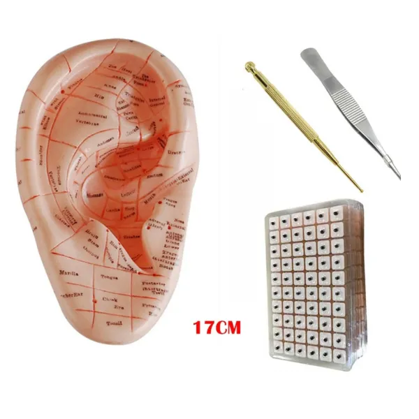 17cm Auricular Application Model FREE Vaccaria Ear Seeds Sticker KIT Life Changing Energy Earrings 17cm Auricular Application Model FREE Vaccaria Ear Seeds Sticker KIT Life Changing Energy Earrings